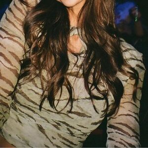 Zara gree  tiger Print Blouse